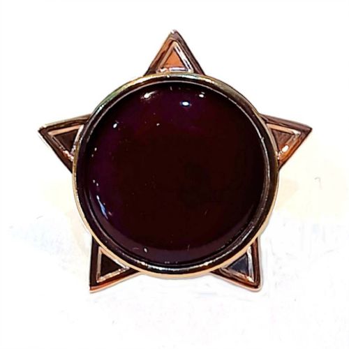 Brown star badge